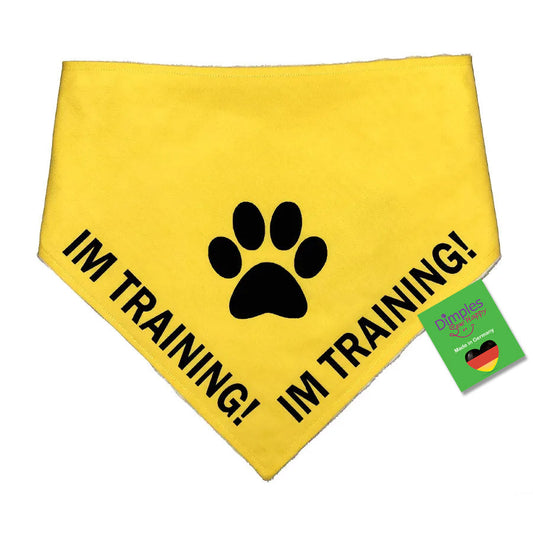 Gelbes Hundehalstuch mit der Aufschrift „IM TRAINING“