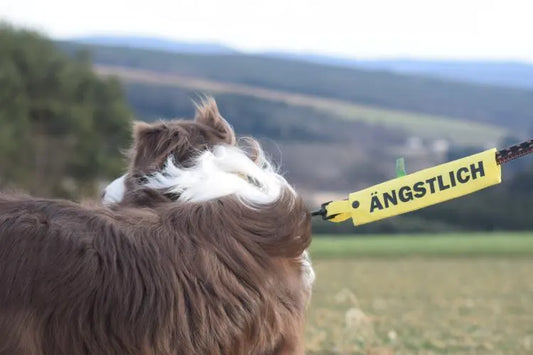 Leinenüberzug ÄNGSTLICH für Hundeleine