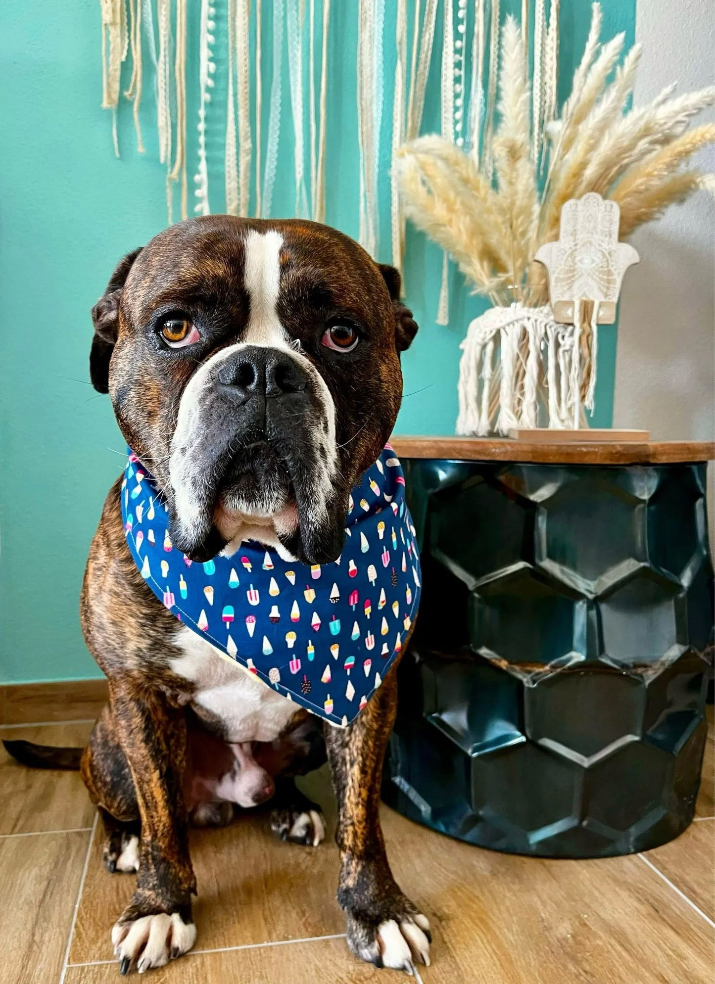 Sommer Eis Hundehalstuch Bandana dunkelblau