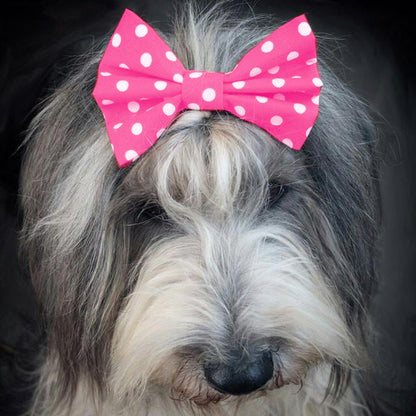 Dimples Hundefliege pink mit weissen Punkten - Hunde Schleife für Hochzeit, Geburtstag oder Taufe