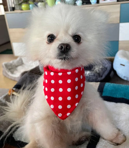 Rot gepunktetes Hundehalstuch Bandana