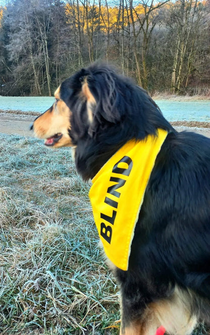 Blinder Hund Dreieckstuch - gelbes Hundehalstuch mit Aufdruck BLIND für Blindenhund