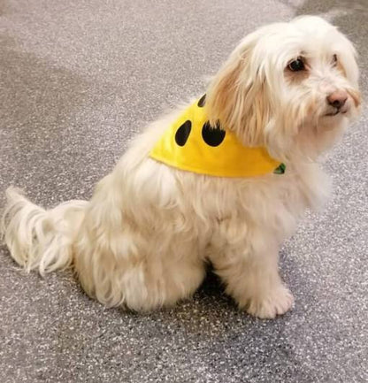 Blinder Hund Dreieckstuch -gelbes Hundehalstuch mit 3 Punkten Aufdruck für Blindenhund