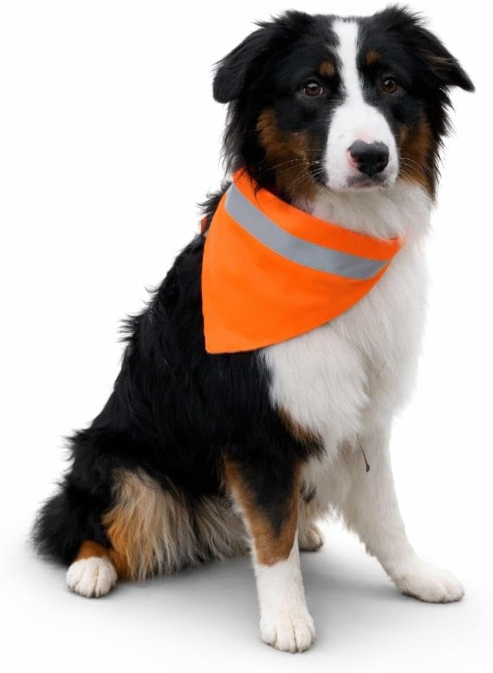 Hundehalstuch neon orange mit Reflektorstreifen - Hohe Sichtbarkeit