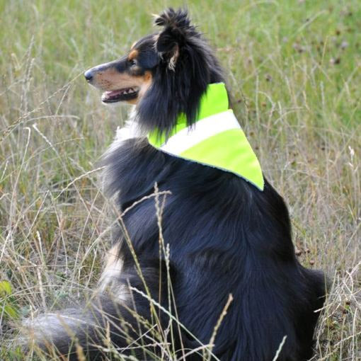 Neon yellow dog bandana with reflective strips
