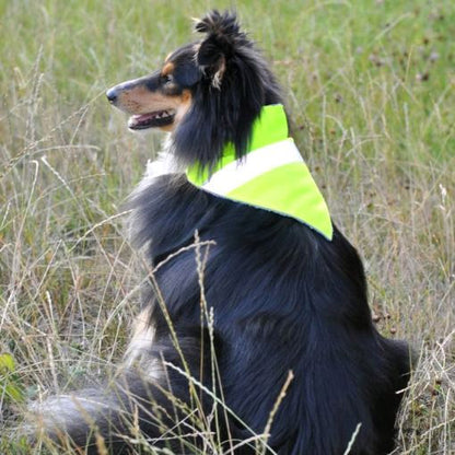 Neon yellow dog bandana with reflective strips