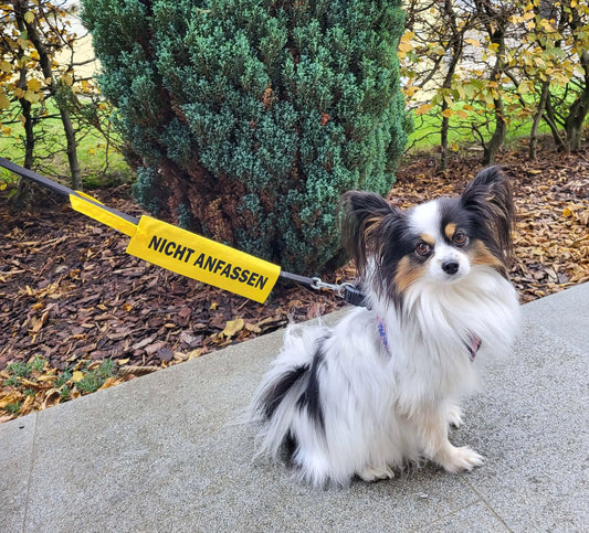 Leinenüberzug für Hundeleine - Warnhinweis, Warnung Ängstlicher Hund, Assistenzhund, Schulhund