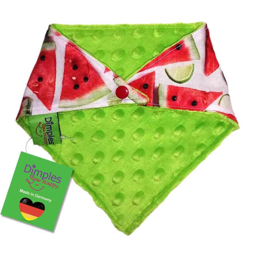 Sommerliches Wassermelonen Hundehalstuch Bandana
