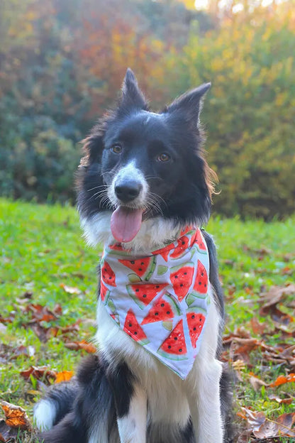 Sommerliches Wassermelonen Hundehalstuch Bandana