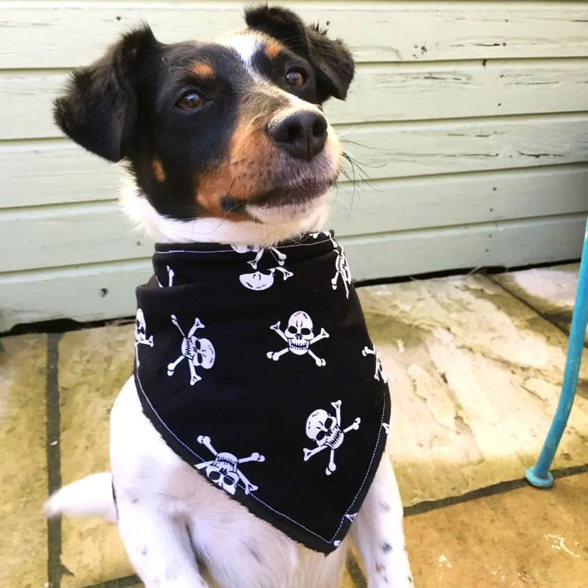 Jolly Roger Piraten Bandana schwarz mit Totenköpfen