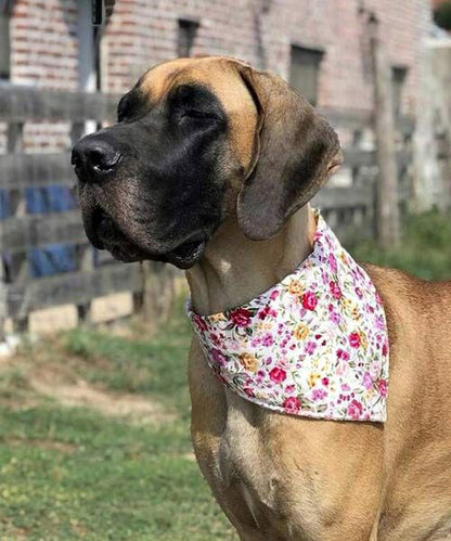 Vintage Rosen auf creme Hundehalstuch