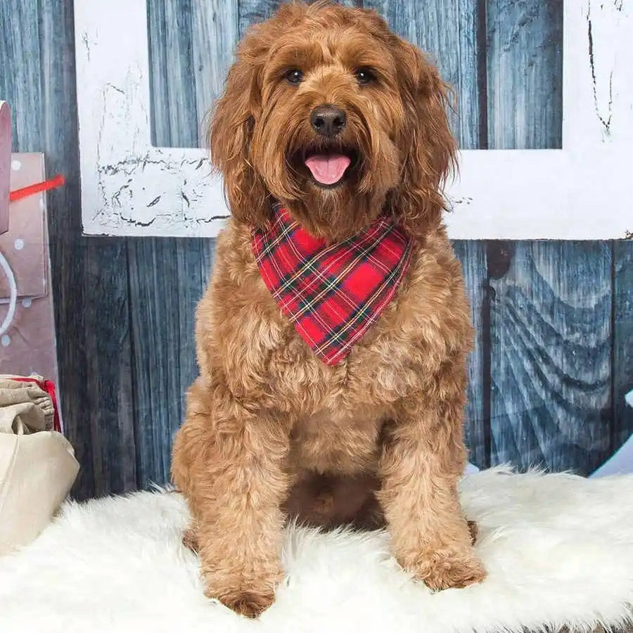 Schottenkaro rot kariertes Hundehalstuch - Hundeschal