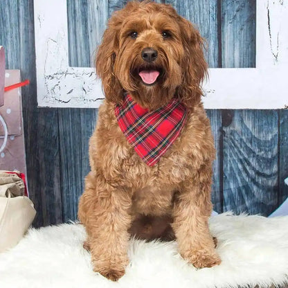 Schottenkaro rot kariertes Hundehalstuch - Hundeschal