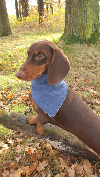 Blaues Zopfmuster Hundeschal Hundehalstuch