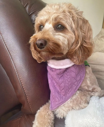 Lila Zopfmuster Hundeschal Hundehalstuch